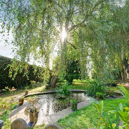 Апартаменты Romantic Stay,